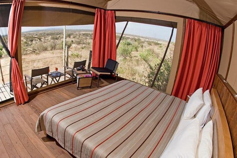 2 jours 1 nuit en Masaï Mara en avion depuis Mombasa - Game Drives in Mara