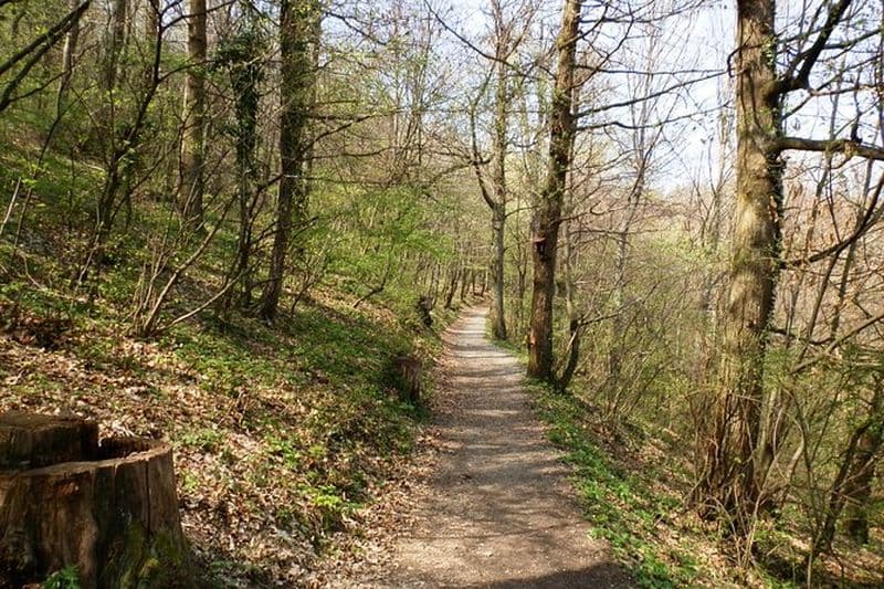 Billet Medvednica Randonnée et châtaignes Tour de Zagreb