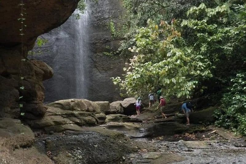 Randonnée dans la forêt tropicale