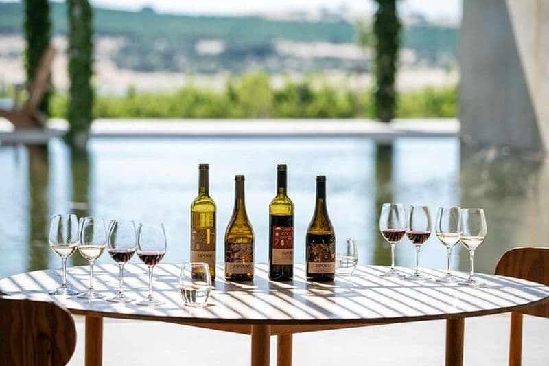 Billet Excursion d'une journée autour des vins d'Évora