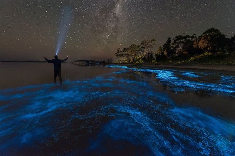 Billet Florida Bioluminescent Kayak & Paddle Board Adventure
