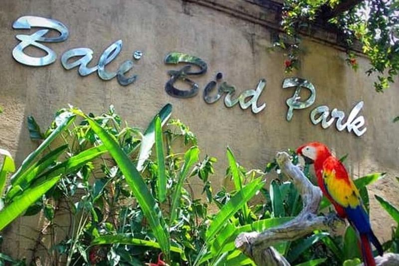 Visite privée du parc ornithologique de Bali et visite d'Ubud