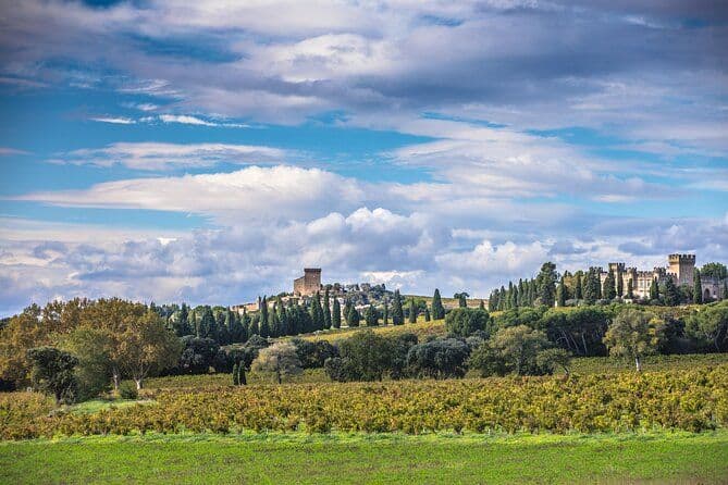 Visite guidée à pied d'une demi-journée d'une cave et d'une dégustation de vin