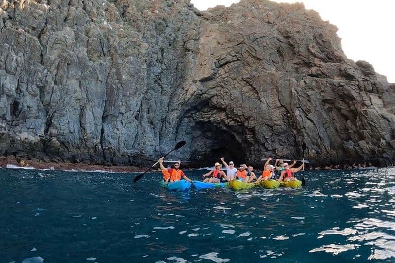 Billet Visite guidée en kayak de la plage de Los Cristianos à Tenerife