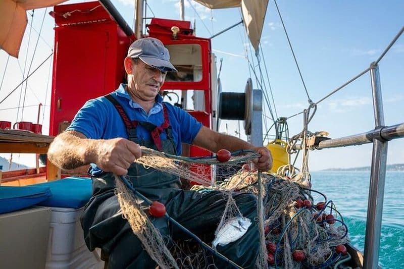 Billet Excursion de pêche en Céphalonie: Tradition, Saveurs & Mers Turquoises