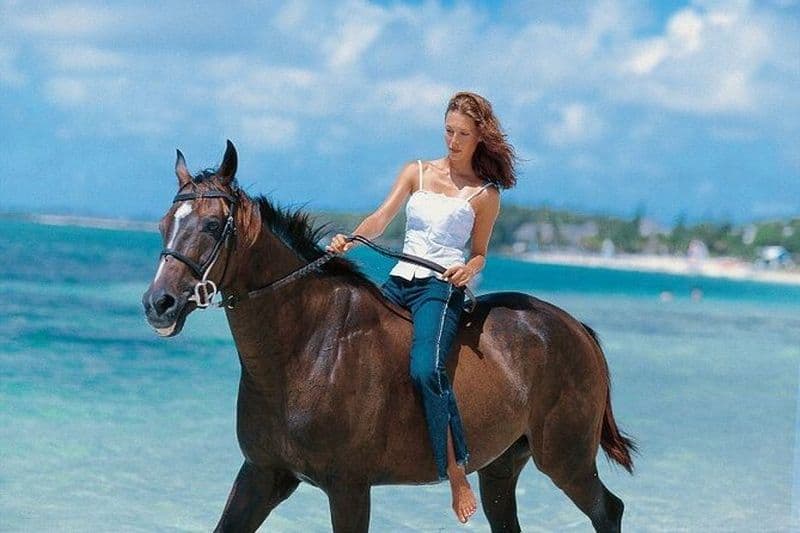 Visite spectaculaire de l'est de l'île Maurice avec équitation au bord de la mer et déjeuner