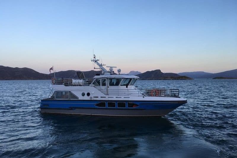 Billet Tromsø : Croisière Polar Fjord & Fishing avec déjeuner inclus