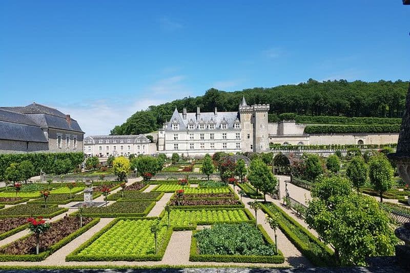 Val de Loire au départ de Tours : Azay-le-Rideau, Villandry, 2 Vignobles
