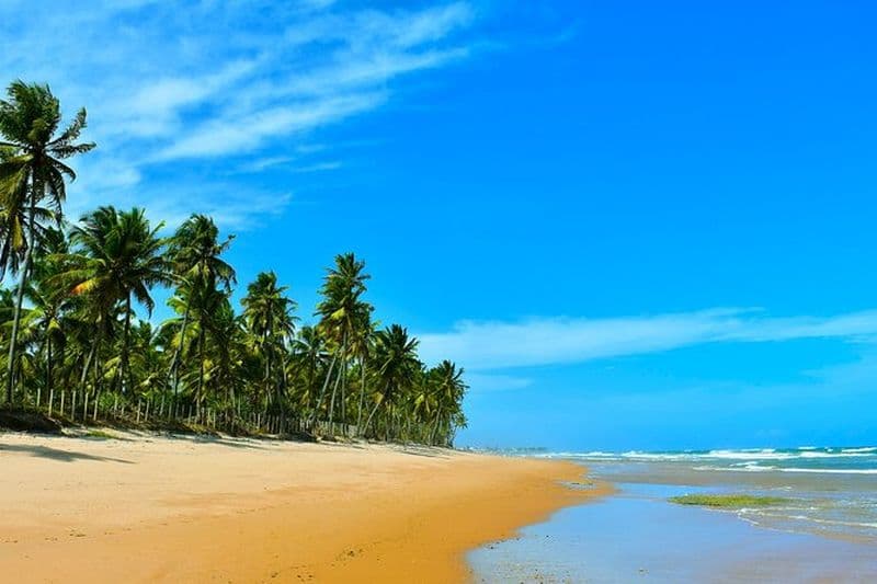 Randonnée à la plage de Jaua au départ de Abrantes