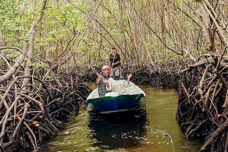Forêt de mangroves en bateau, kayak, stand up paddle à Lembongan