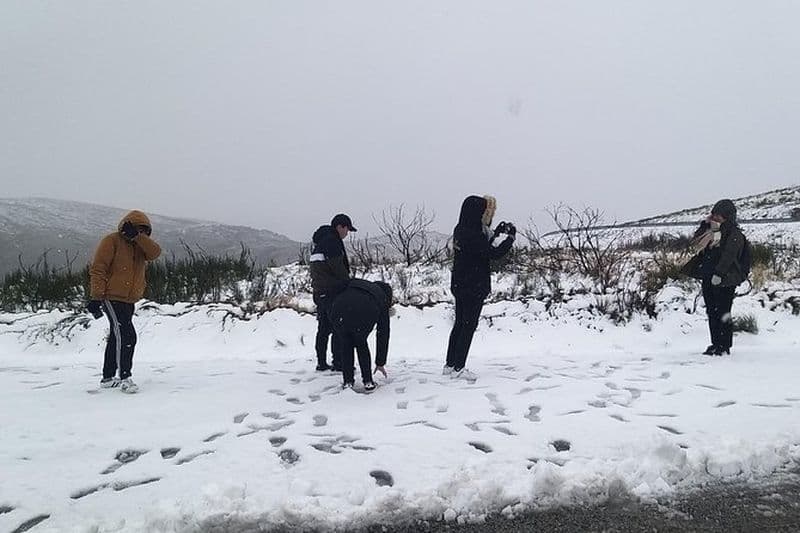 Billet Visite privée du parc Serra da Estrela et de son célèbre fromage