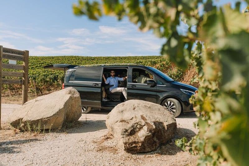 Visite d'une demi-journée des vignobles autour d'Evora