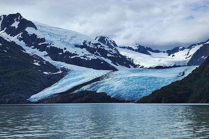 Billet Expérience de la vallée des glaciers avec la croisière Portage Glacier et la visite de la faune