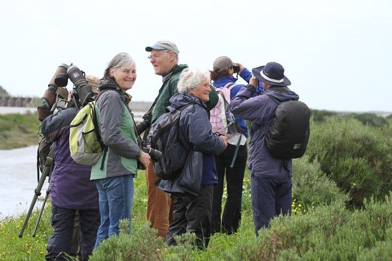 Demi-journée d'observation d'oiseaux dans les marais d'Abicada