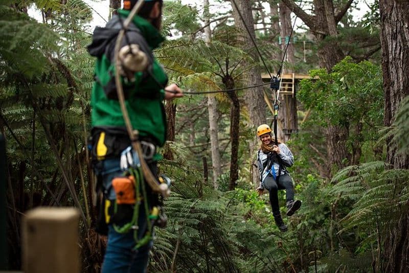 Tour aventureux en tyrolienne à Coromandel