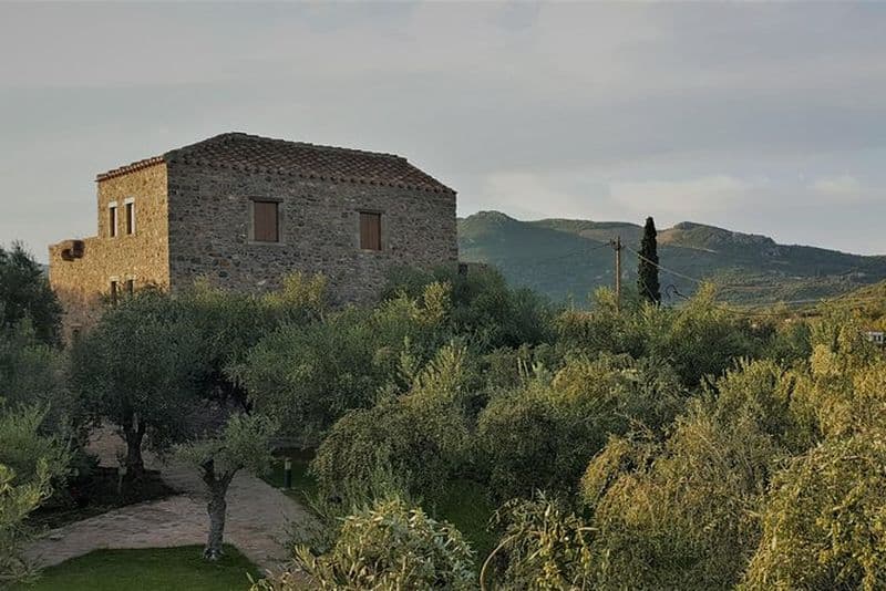Visite privée dans le domaine historique de Monemvasia avec dégustation de vin et d'huile d'olive et repas