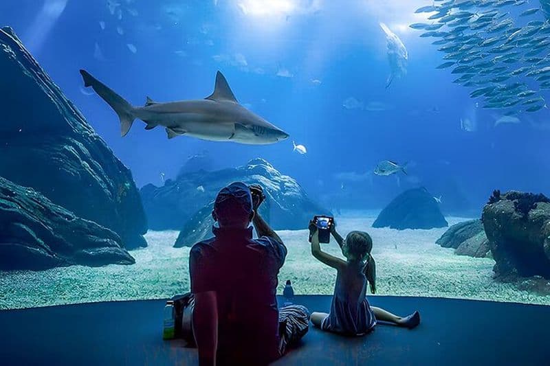 Billets Oceanário DE Lisboa