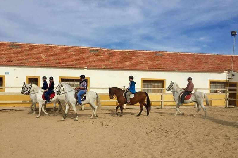 Balade à cheval dans le parc naturel de Calblanque