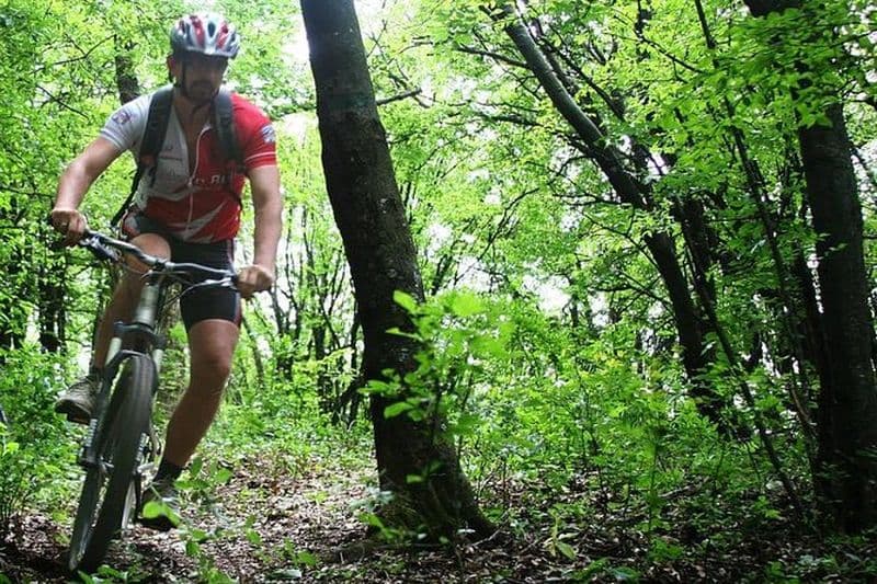Billet VTT privé à Vitosha au départ de Sofia
