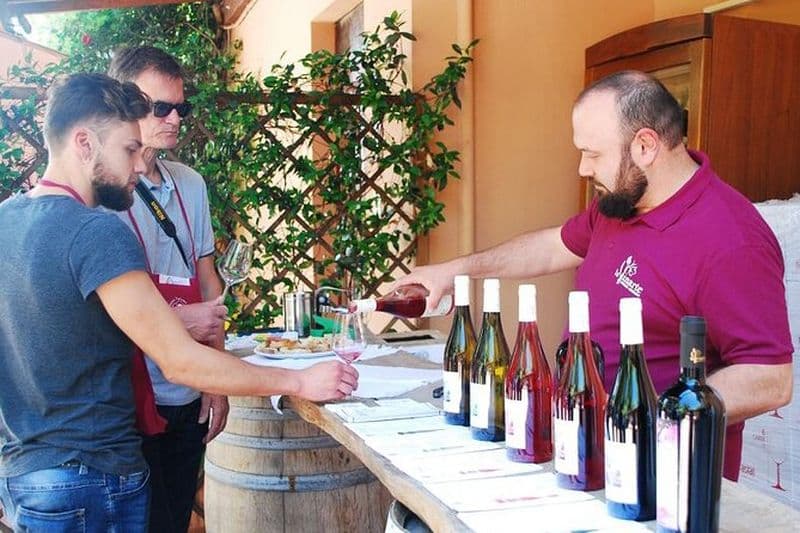 Billet Dégustation de vins et visite guidée du vignoble et de la cave de S. Maria Imbaro