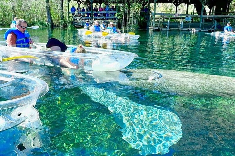 Billet Circuits de kayak et de paddle à Silver Springs de Sassy