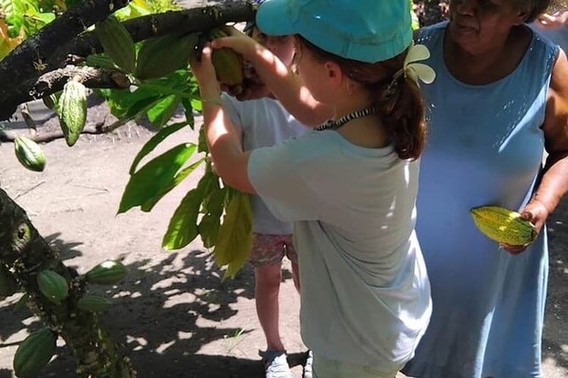 La piste du chocolat Salomon