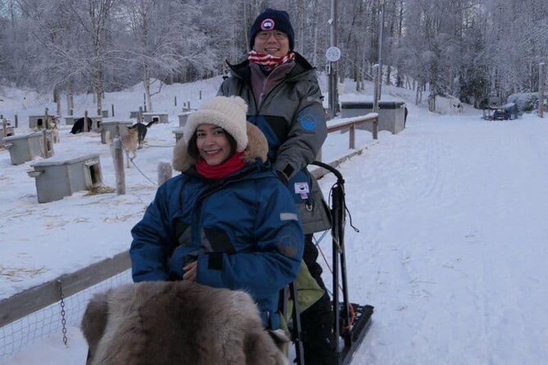 Traîneau à chiens et broyage avec 4X Iditarod Champ