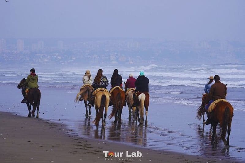 Promenade à cheval au coucher du soleil sur les dunes et la plage de Ritoque + barbecue tout compris