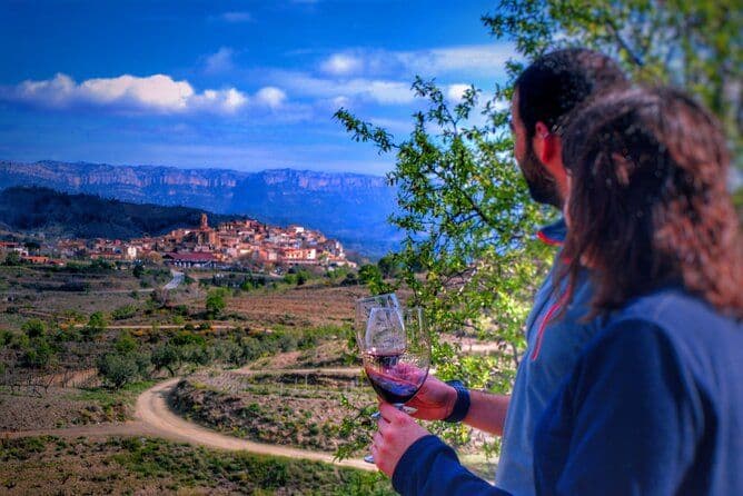 Excursion privée autour du vin et de l’huile dans la région viticole du Priorat