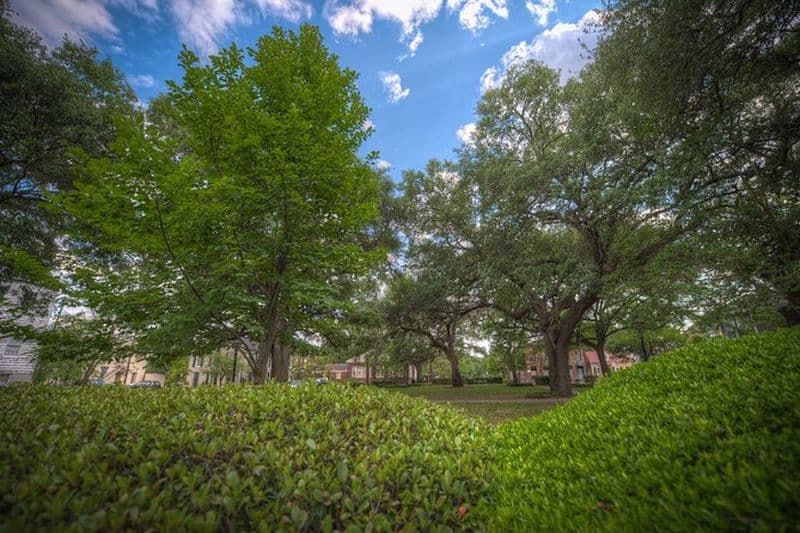 Batailles et brassages Pub Crawl à Savannah