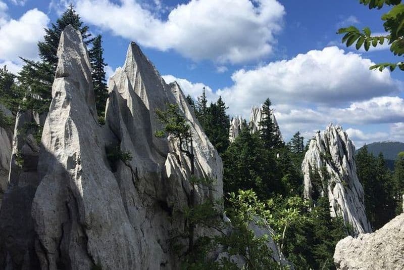 1 jour à Massif des Montagnes Blanches - sentier de randonnée Vihoraski au départ de Zagreb