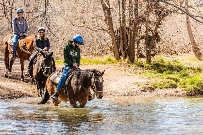 Promenades à cheval à Sedona au Dead Horse Ranch avec traversée de la rivière