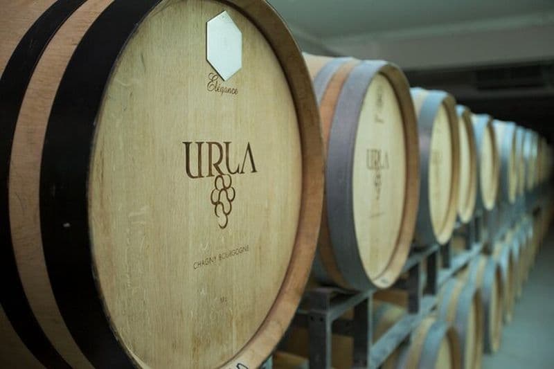 Visite privée du vin et de l'huile d'olive d'Urla au départ d'Izmir