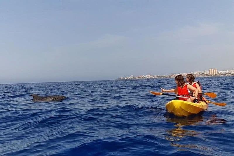 Billet Safari en kayak avec observation des dauphins et des tortues à Guaza