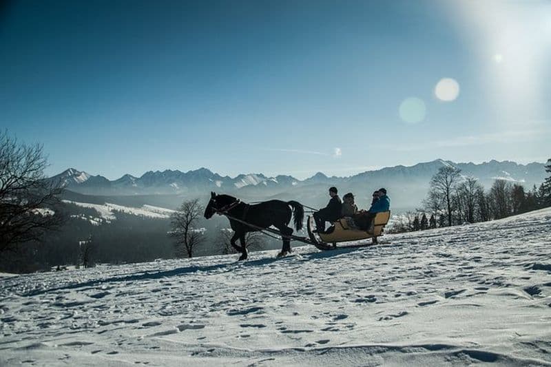 Zakopane et promenade en traîneau à cheval à la campagne, visite privée de Cracovie