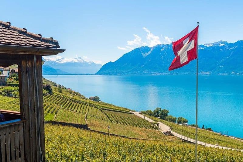 Visite panoramique des vins de Montreux