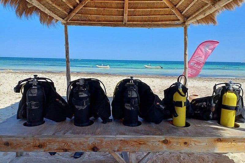 Découvrir Plongée sous-marine Aventure débutante de 2 heures à Djerba