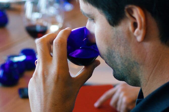 Découvrir le processus de fabrication du vin et de l'huile d'olive