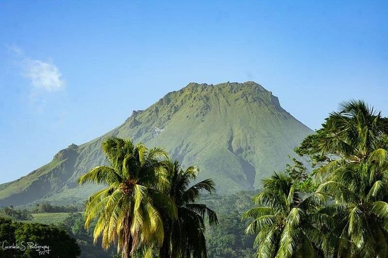 V.I.P Green escape 2-Zoo de Martinique