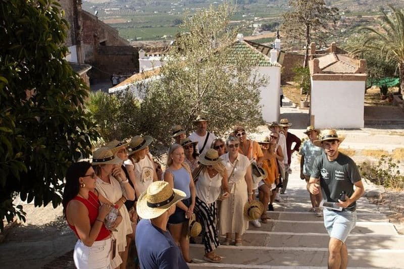 Visite du vin en petit groupe de Malaga – Vues du château d’Álora et 4 dégustations