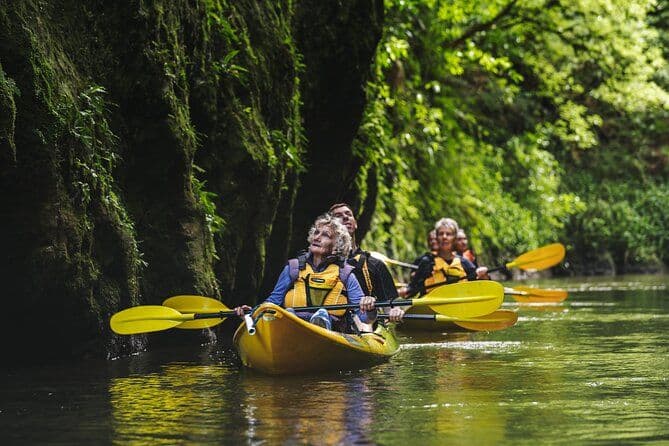 Excursion en kayak de jour au Canyon