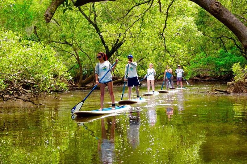 Billet Visite de la nature de Byron Stand Up Paddle