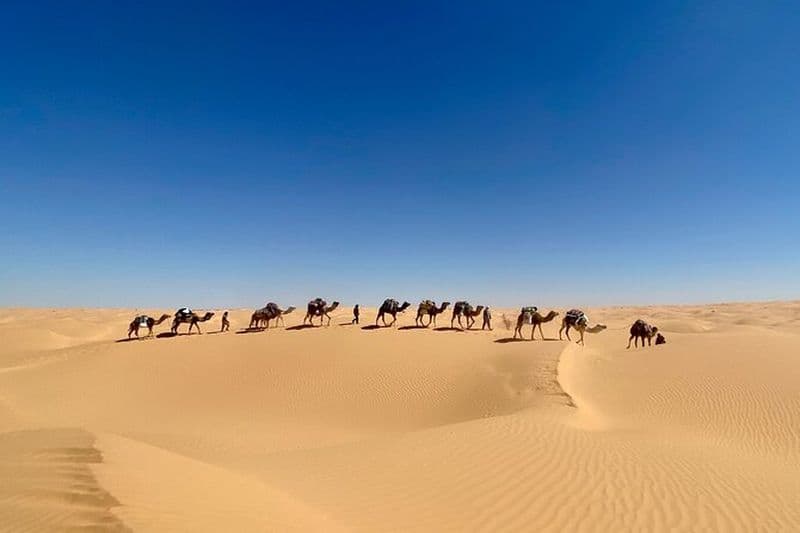 Billet Visites du désert et randonnées aventureuses à dos de chameau à travers le Sahara