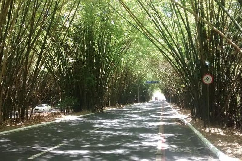 Transferts: aéroport, hôtels, terminaux maritimes, gare routière.