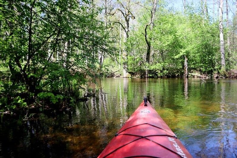 Excursion de 5 jours en kayak libre dans le parc national Aukstaitija