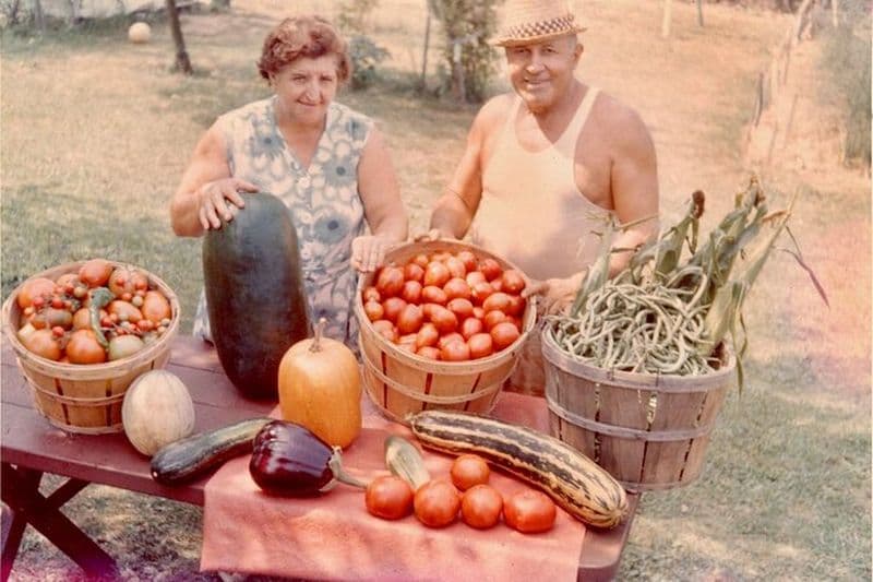 Billet Visite de maman et de pop food dans le quartier chinois et la petite Italie