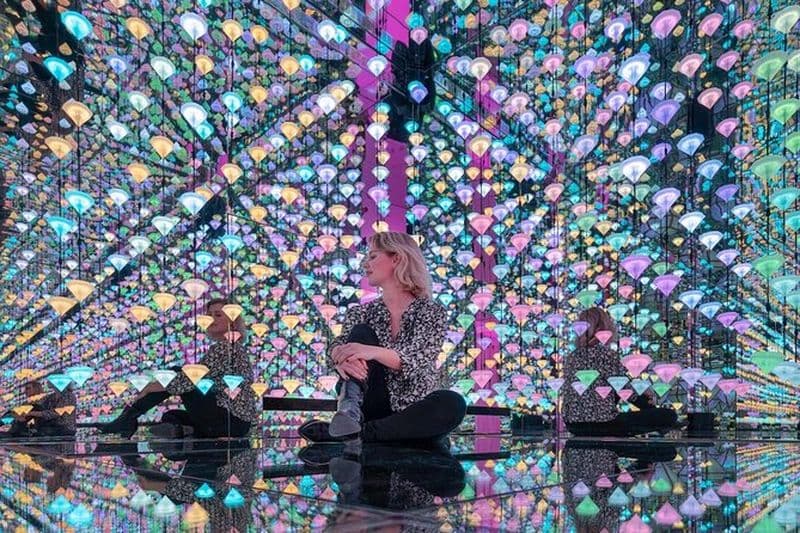 Moco Museum Amsterdam Billet d'entrée avec Banksy et plus