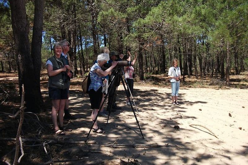 Journée d'observation des oiseaux à Sagres