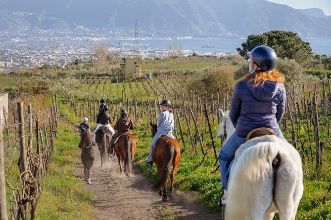 Billet Équitation sur le Vésuve