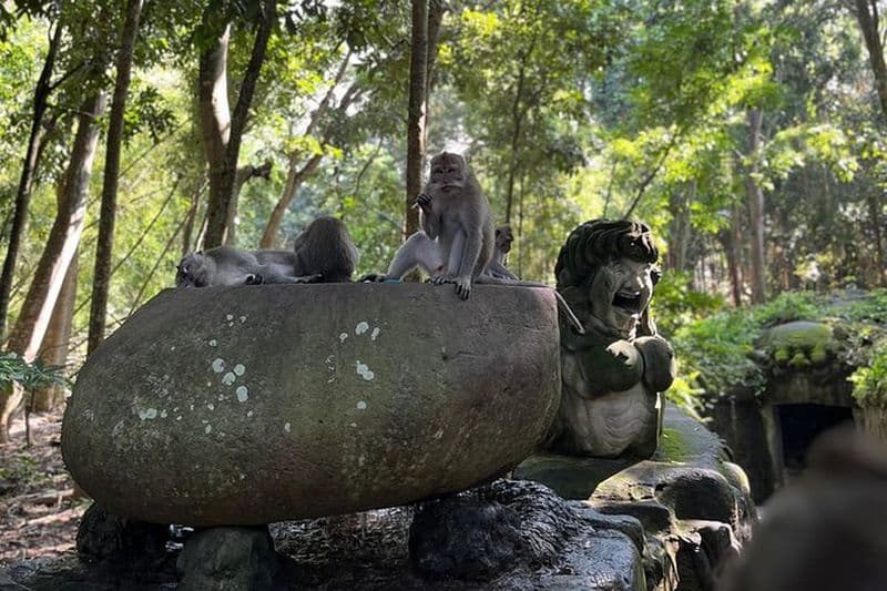 Billet All Inclusive - Ubud Soul of Nature Tour